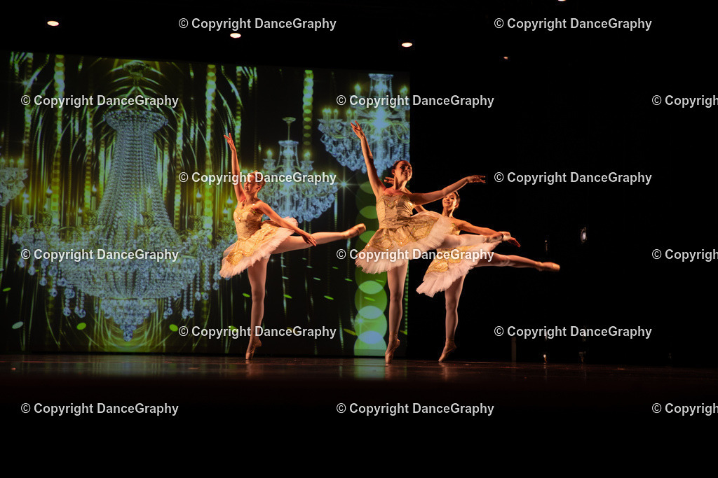 GPHY5357 | DanceGraphy - Realisiert mit Pictrs.com