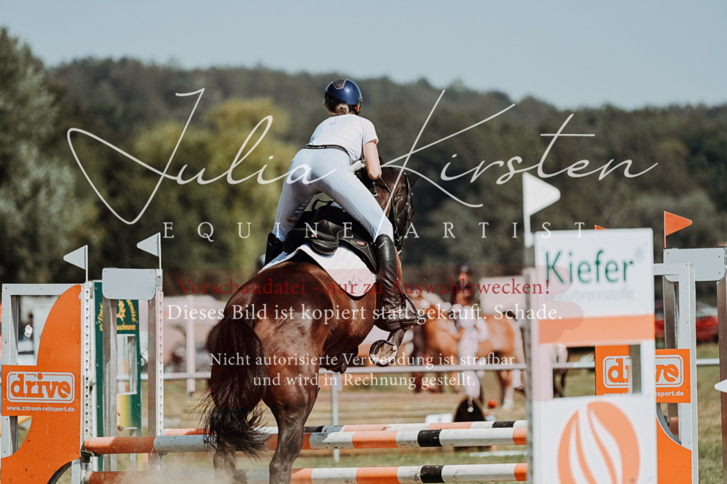 DSC_0052 | Pferde- und Turnierfotografie in Westsachsen. Pferdeportraits, Auftragszeichnungen und intuitive Kunst.