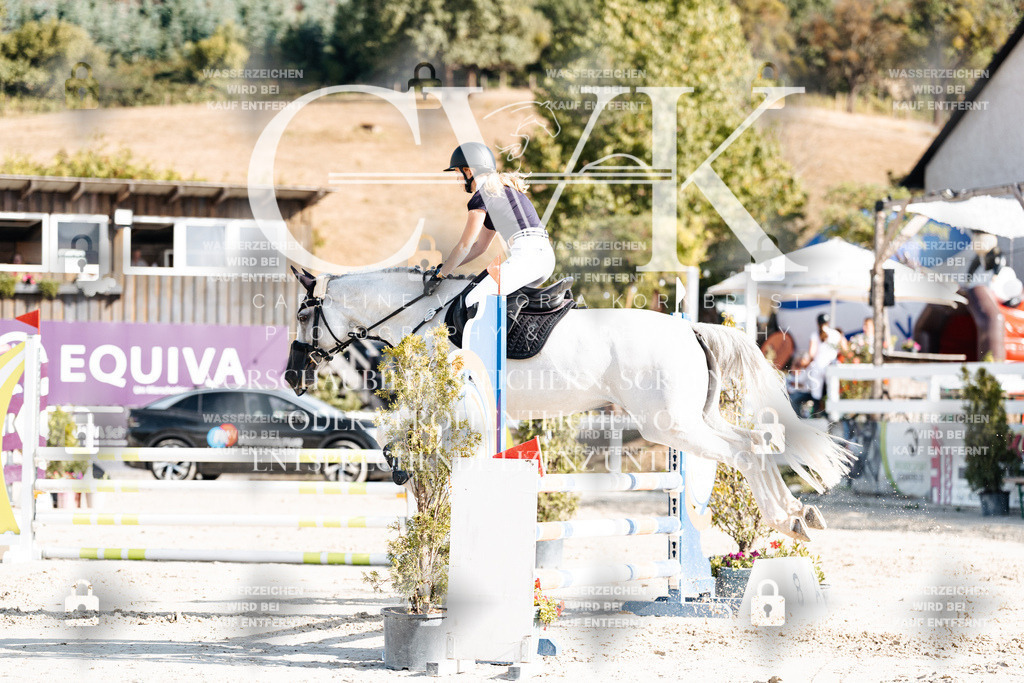 CK909324 | Turnierfotografie Pferdefotografie Trier Rheinland-Pfalz Pferdesport Reitsport Tierfotografie Sportfotografie Pferdevideo Pferdevideografie Equestrianvideography equestrianphotography  - Realisiert mit Pictrs.com