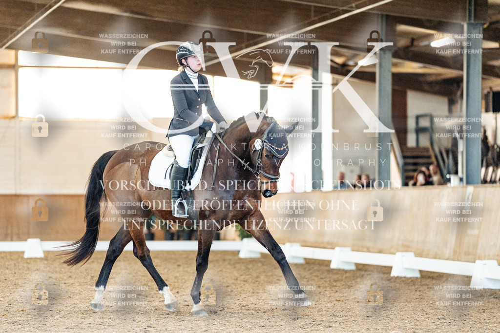 CK908471 | Turnierfotografie Pferdefotografie Trier Rheinland-Pfalz Pferdesport Reitsport Tierfotografie Sportfotografie Pferdevideo Pferdevideografie Equestrianvideography equestrianphotography  - Realisiert mit Pictrs.com