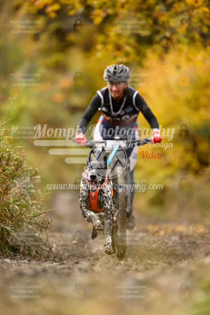 MompixPhotography_ICF_WC_2024_SA_Bike_-115 | PayLife