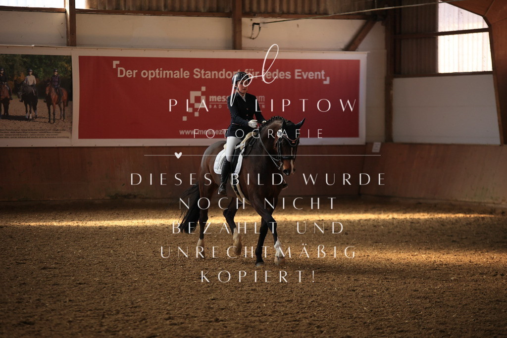 IMGT2151 | pl-fotografie