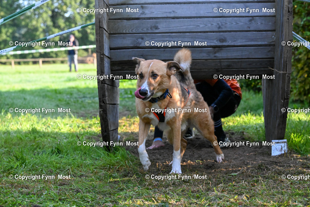 DSC_4245 | Hallo und herzlich Willkommen auf meiner Shop-Seite Fynn Most.

Ich wünsche Dir viel Spaß beim stöbern durch die Bilder, wenn Du Fragen hast oder Bilder vermisst, kannst du mir gerne eine Nachricht schreiben. - Realisiert mit Pictrs.com