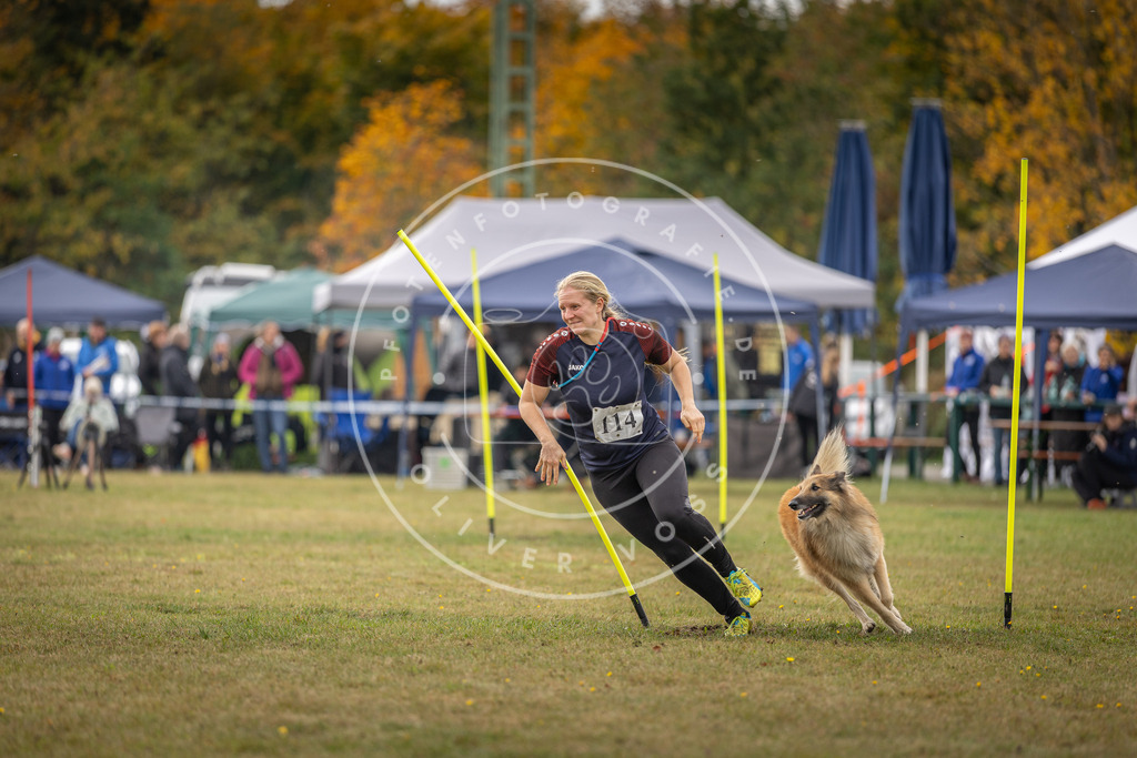 Pfotenfotografie_DV3A6880 | Hundefotografie, Tierfotograf, Pfotenfotografie, Fotoshooting Hund, Hunde Portrait, Hundesport, Hundeportraits, Heideshooting, Hunde, Sportfotograf, Hundefotograf, Turnierhundsport, THS,  - Realisiert mit Pictrs.com