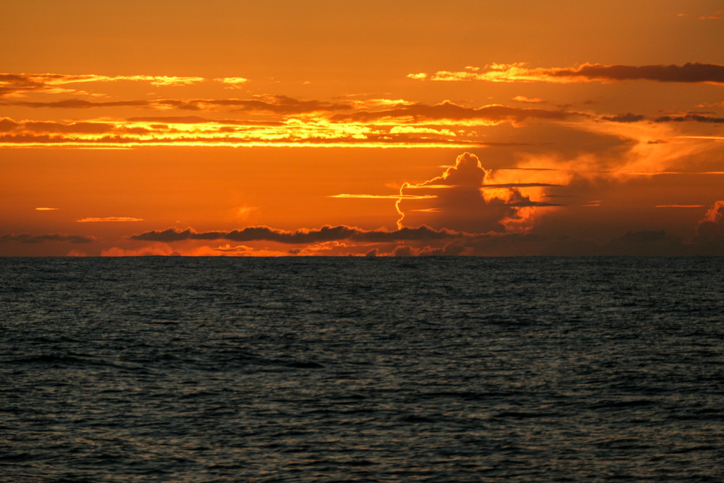 2018_10_23 PANA0782 | bridgeman - Realisiert mit Pictrs.com