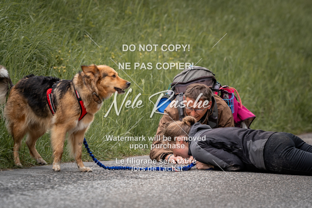 nelerasche_SoZieleinlauf_76 | nelerasche