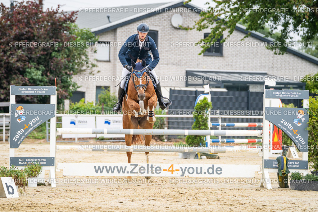 DSC09938 | Pferdegrafie