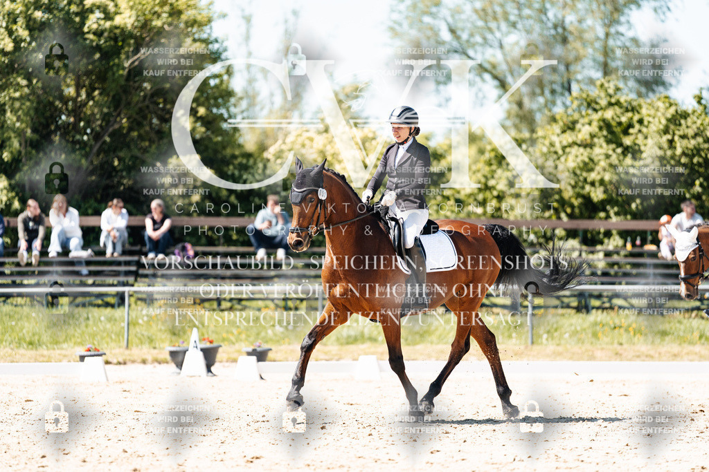 CK905851 | Turnierfotografie Pferdefotografie Trier Rheinland-Pfalz Pferdesport Reitsport Tierfotografie Sportfotografie Pferdevideo Pferdevideografie Equestrianvideography equestrianphotography  - Realisiert mit Pictrs.com