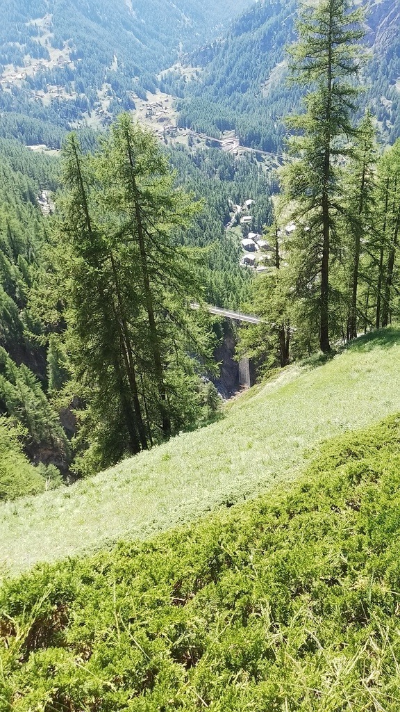 IMG_20250628_153506 | zermatt-wallis-berge-und-mehr - Realisiert mit Pictrs.com