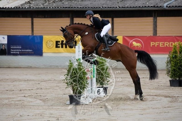 2B4A1547 | pixelfaenger - Realisiert mit Pictrs.com