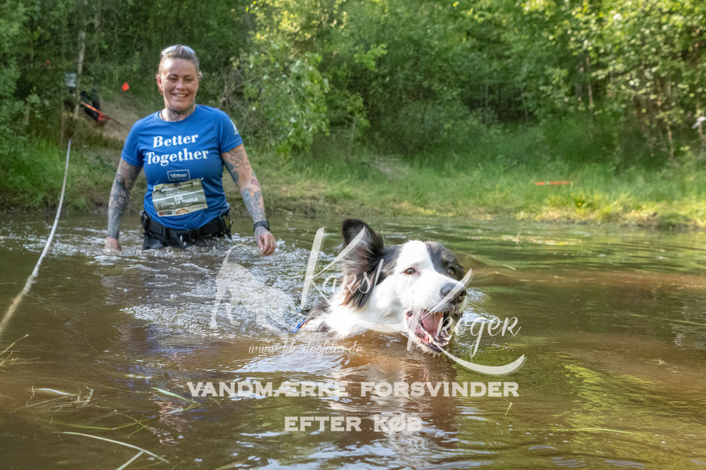 1738DKK992294 | kk-dogfotos