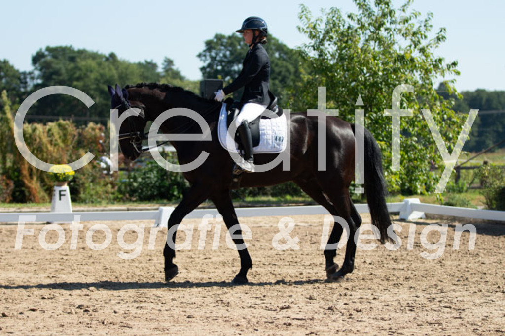 IMG_9154 | Creatify Fotografie