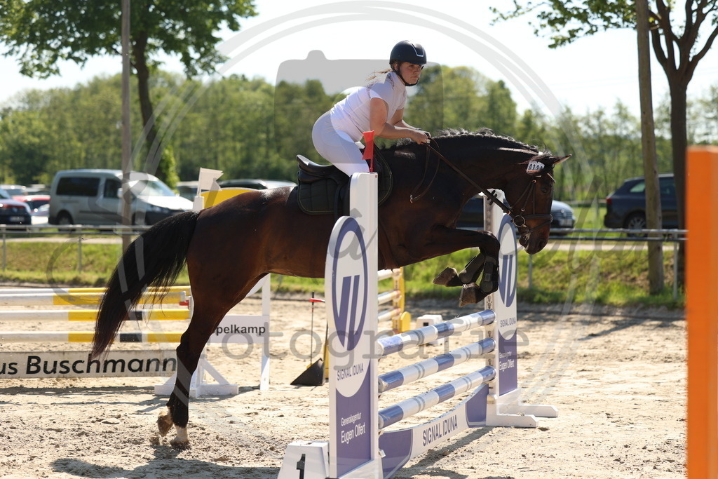 994A5704 | sabrinanicolaifotografie - Realisiert mit Pictrs.com