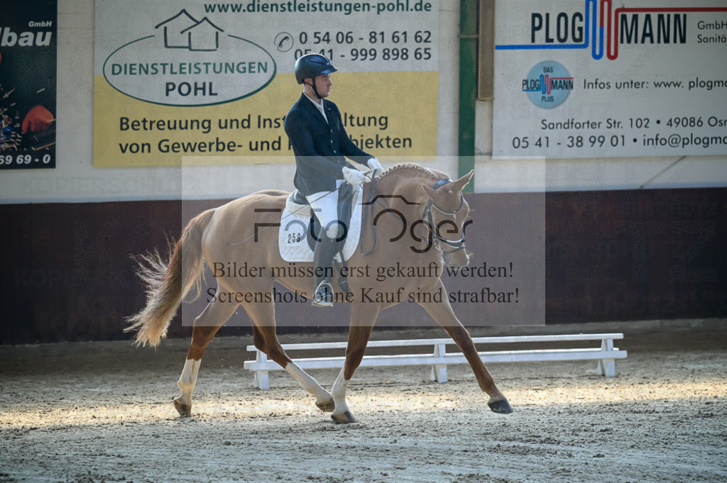 Reitturnier Voxtrup | Entdecke hochwertige Reitturnierfotos von Foto Oger. Professionell, emotional und authentisch – jetzt Lieblingsmomente im Shop bestellen.Deutschlandweite Turnierfotografie. - Realized with Pictrs.com