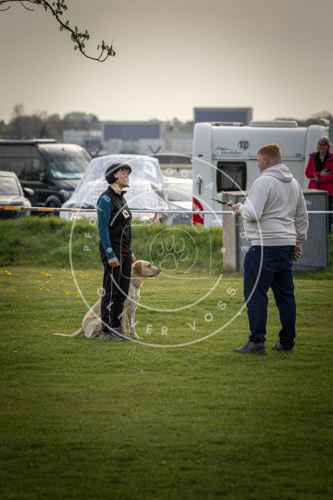 Pfotenfotografie_DV3A4914 | Hundefotografie, Tierfotograf, Pfotenfotografie, Fotoshooting Hund, Hunde Portrait, Hundesport, Hundeportraits, Heideshooting, Hunde, Sportfotograf, Hundefotograf, Turnierhundsport, THS,  - Realisiert mit Pictrs.com