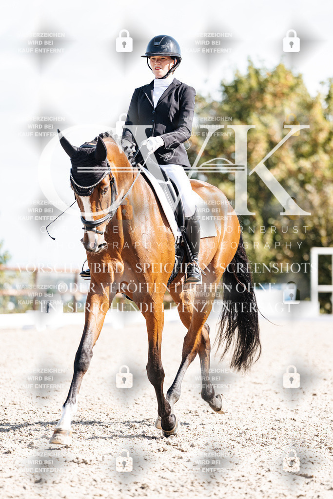 CK902336 | Turnierfotografie Pferdefotografie Trier Rheinland-Pfalz Pferdesport Reitsport Tierfotografie Sportfotografie Pferdevideo Pferdevideografie Equestrianvideography equestrianphotography  - Realisiert mit Pictrs.com