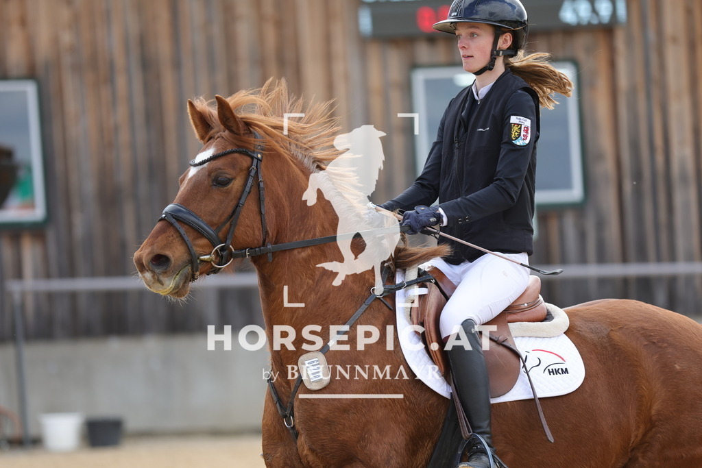 0P6A8104 | Willkommen bei Brunnmayr - Design & Fotografie – Ihrem Spezialisten für Reitturniere und Pferdeveranstaltungen in Oberösterreich, Salzburg und Bayern! Seit über 17 Jahren sind wir leidenschaftlich dabei.