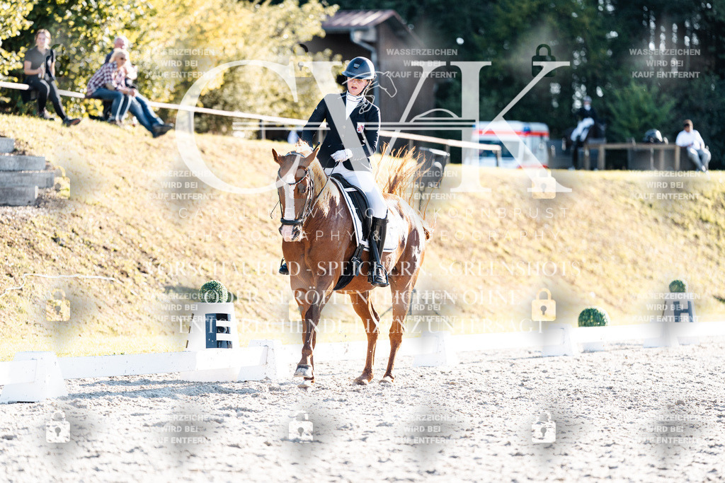 CK907003 | Turnierfotografie Pferdefotografie Trier Rheinland-Pfalz Pferdesport Reitsport Tierfotografie Sportfotografie Pferdevideo Pferdevideografie Equestrianvideography equestrianphotography  - Realisiert mit Pictrs.com