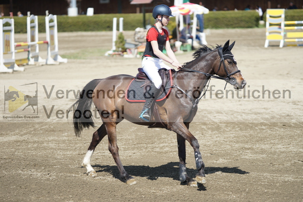 DSC02924 | equestrian-live-com