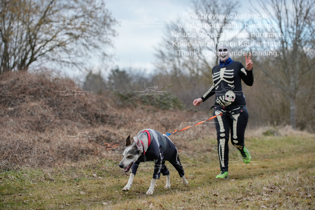 Fasching-32 | stephaniefillaphotographie - Realisiert mit Pictrs.com