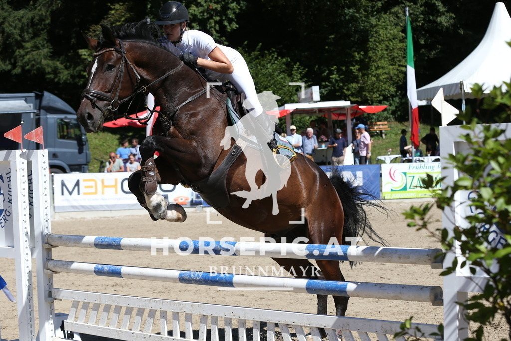 DL2Q0645 | Willkommen bei Brunnmayr - Design & Fotografie – Ihrem Spezialisten für Reitturniere und Pferdeveranstaltungen in Oberösterreich, Salzburg und Bayern! Seit über 17 Jahren sind wir leidenschaftlich dabei.