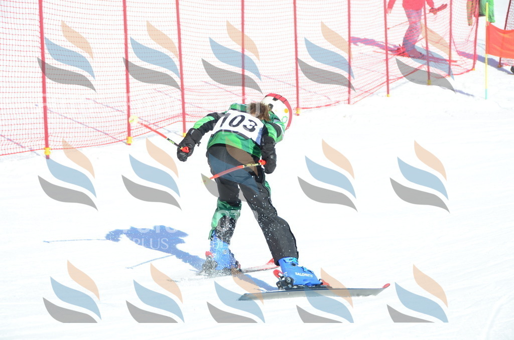 C5776 | holidayphoto