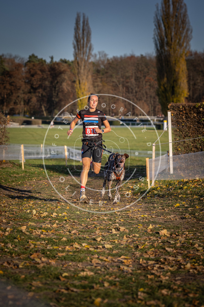 CaniXpix_DV3A3019 | Hundefotografie, Tierfotograf, Pfotenfotografie, Fotoshooting Hund, Hunde Portrait, Hundesport, Hundeportraits, Heideshooting, Hunde, Sportfotograf, Hundefotograf, Turnierhundsport, THS,  - Realisiert mit Pictrs.com