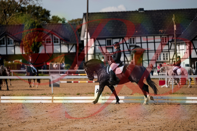 2026_10_03_Siefer-Hof_120757_Z63_37015957 | Professionelle Reitsport-, Turnier- und Eventfotografie von Robert Broda. Galerien mit ausgewählten und bearbeiteten Bildern direkt online ansehen und bestellen.