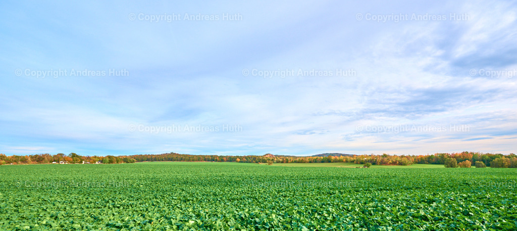 Gaudlitzberg_ Kuppe vom Steinbruch Zinkenberg_ Löbenberg (v.l.n.r.) | Bedeutsame Landschaften Deutschlands - Realisiert mit Pictrs.com