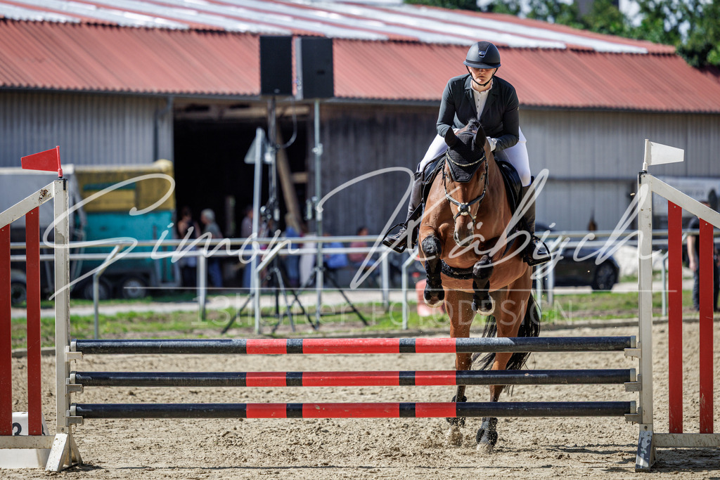 20260905-_3LI9060 | Tierfotografie Pferde, Hunde, Katzen, Haustiere.
Turnierfotografie Reitturniere, Reiten, Springreiten, Dressur in Hanau, dem Main-Kinzig-Kreis und dem Rhein-Main- Gebiet um Frankfurt