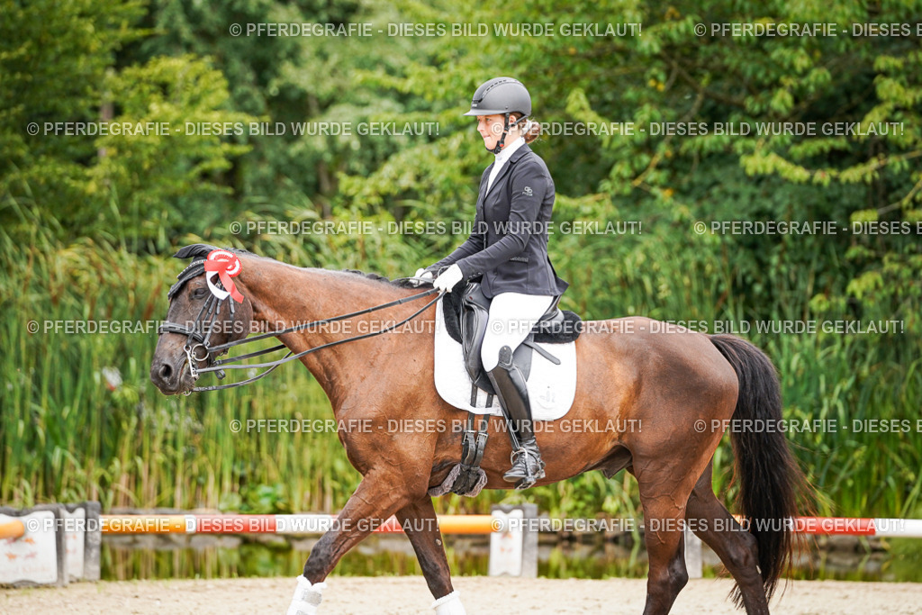 DSC04846 | Pferdegrafie