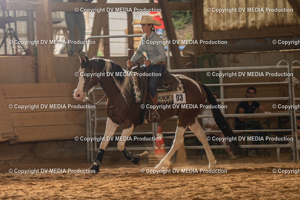 NID01718 | dv-media-shop - Realisiert mit Pictrs.com