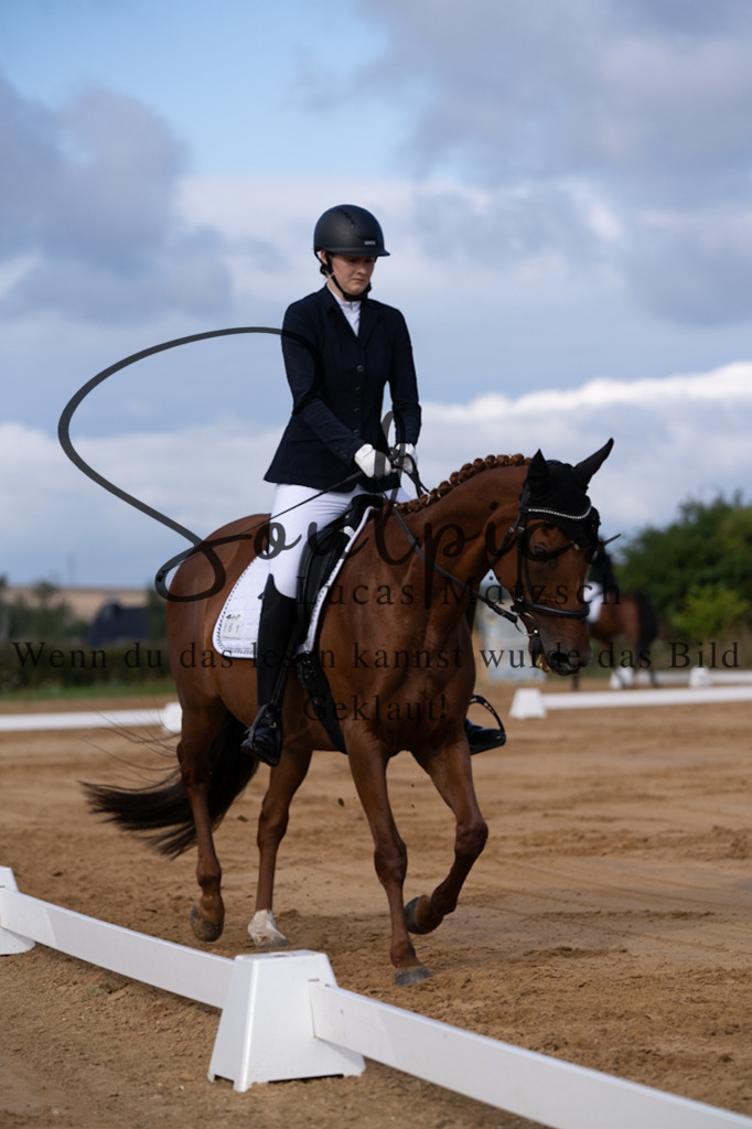 A7V05110 | Pferdefotograf