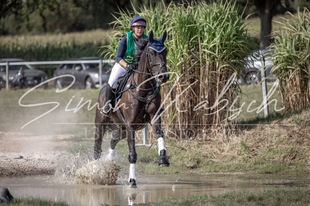 20250907-_3LI2279 | Tierfotografie Pferde, Hunde, Katzen, Haustiere.
Turnierfotografie Reitturniere, Reiten, Springreiten, Dressur in Hanau, dem Main-Kinzig-Kreis und dem Rhein-Main- Gebiet um Frankfurt
