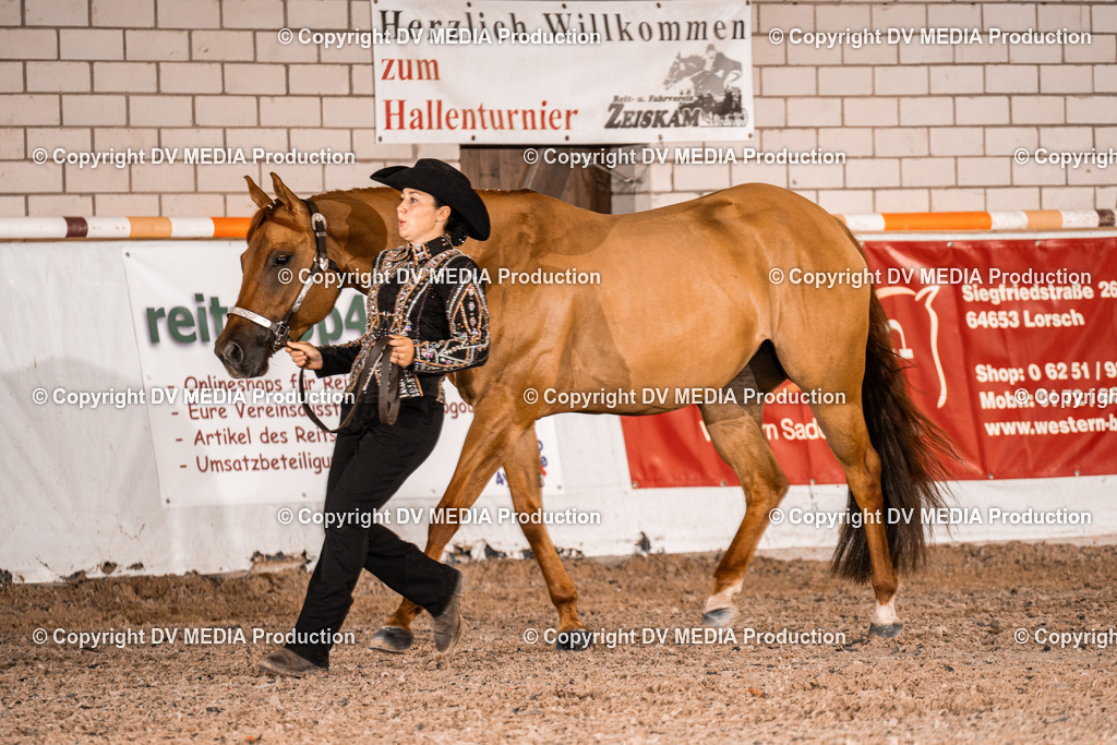 ZH100060 | dv-media-shop - Realisiert mit Pictrs.com