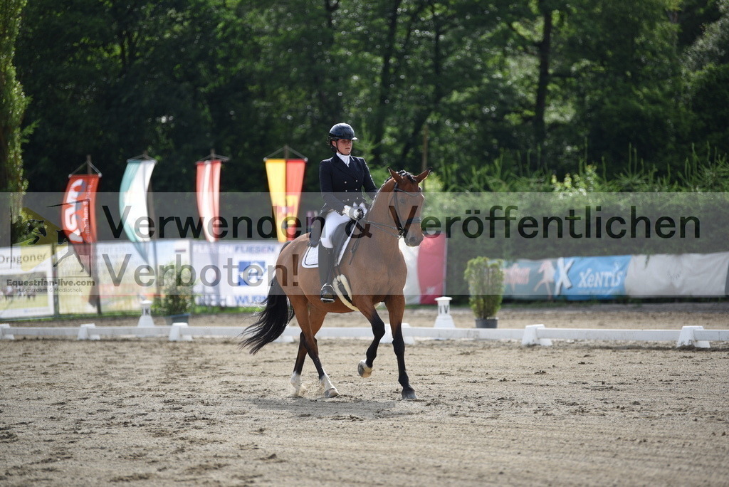DSC_5572 | equestrian-live-com