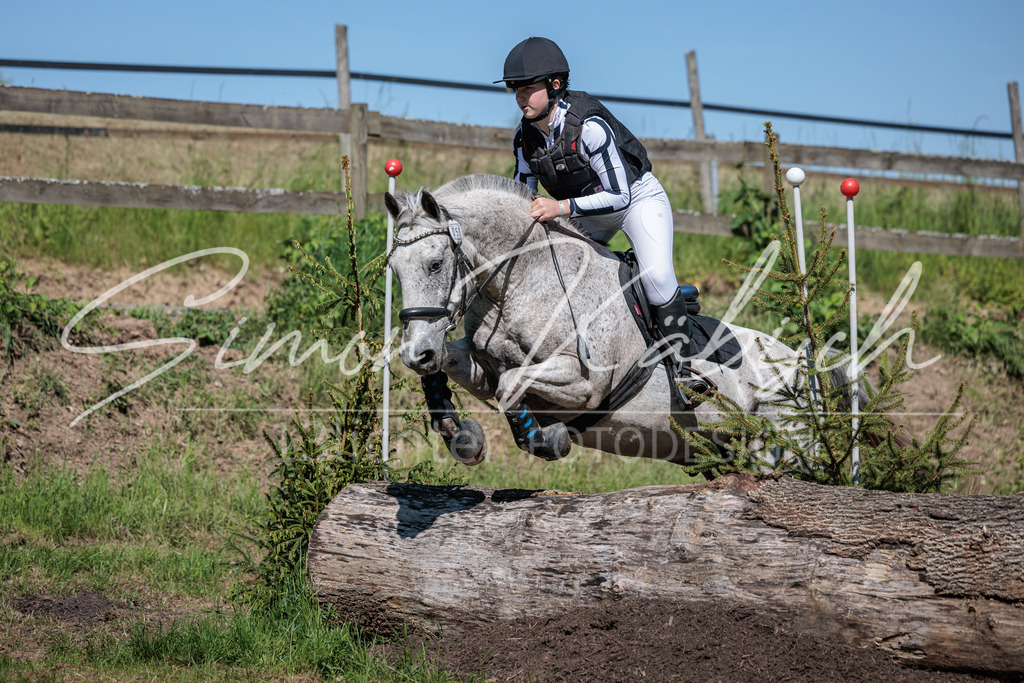 20260523-_3LI7217 | Tierfotografie Pferde, Hunde, Katzen, Haustiere.
Turnierfotografie Reitturniere, Reiten, Springreiten, Dressur in Hanau, dem Main-Kinzig-Kreis und dem Rhein-Main- Gebiet um Frankfurt