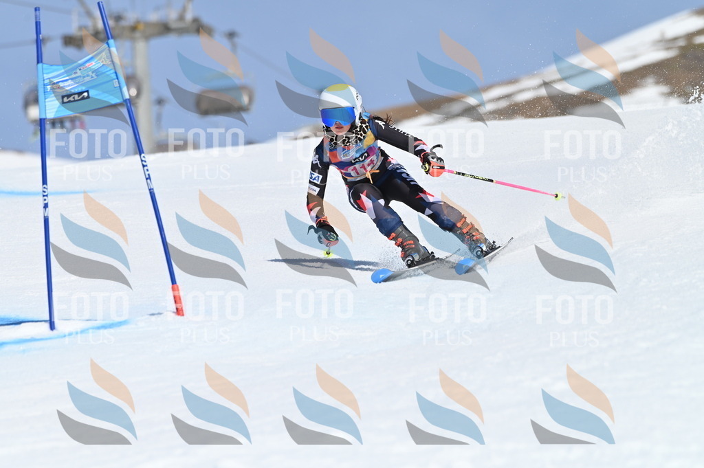 BGV_9702 | holidayphoto