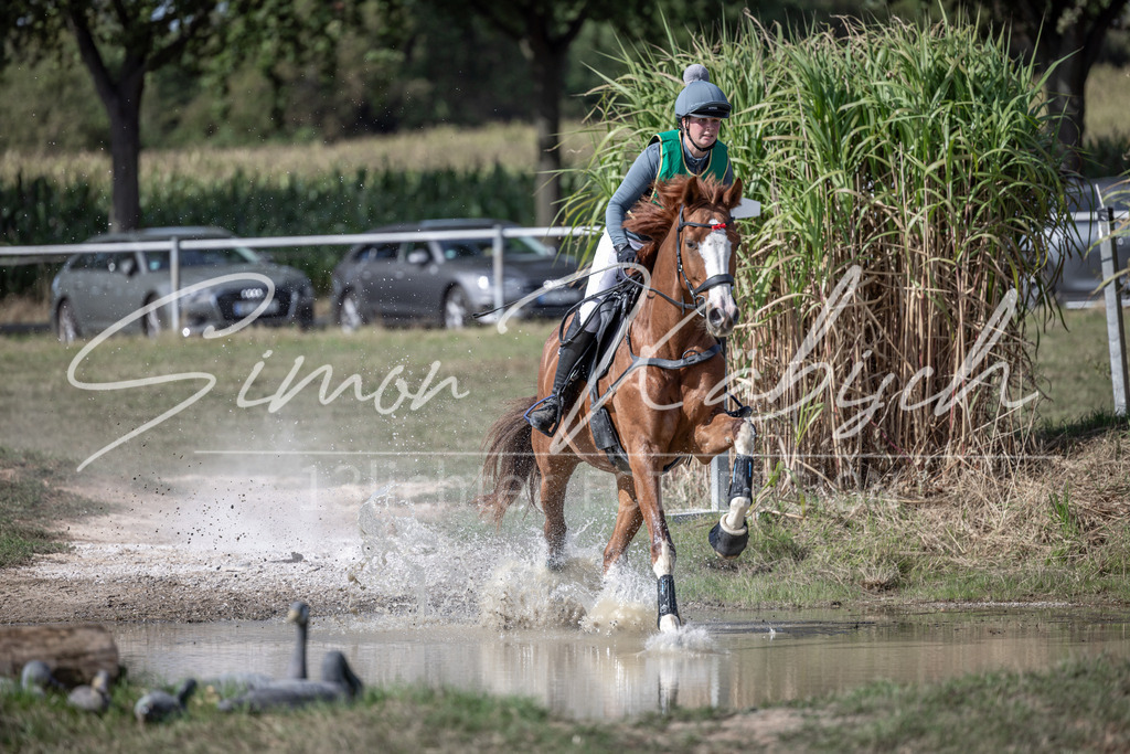 20250907-_3LI1814 | Tierfotografie Pferde, Hunde, Katzen, Haustiere.
Turnierfotografie Reitturniere, Reiten, Springreiten, Dressur in Hanau, dem Main-Kinzig-Kreis und dem Rhein-Main- Gebiet um Frankfurt