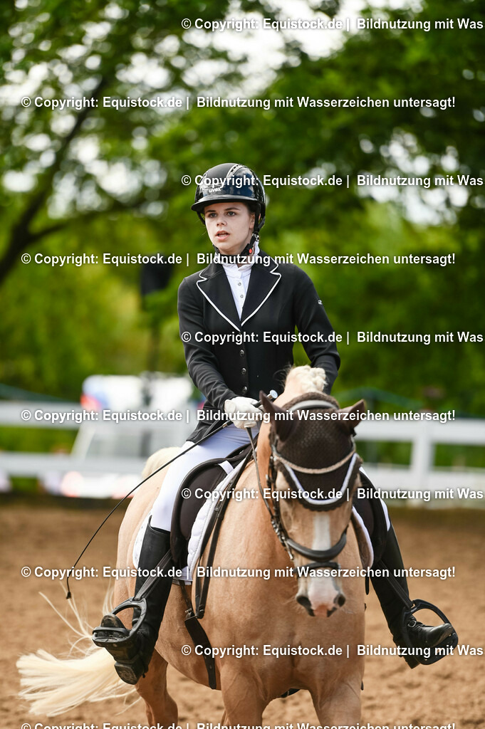 20230716_04_Dressurreiterprüfung Kl.A_0360 | equistock