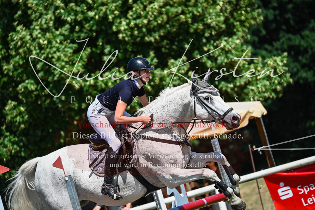 DSC_1106 | Pferde- und Turnierfotografie in Westsachsen. Pferdeportraits, Auftragszeichnungen und intuitive Kunst.