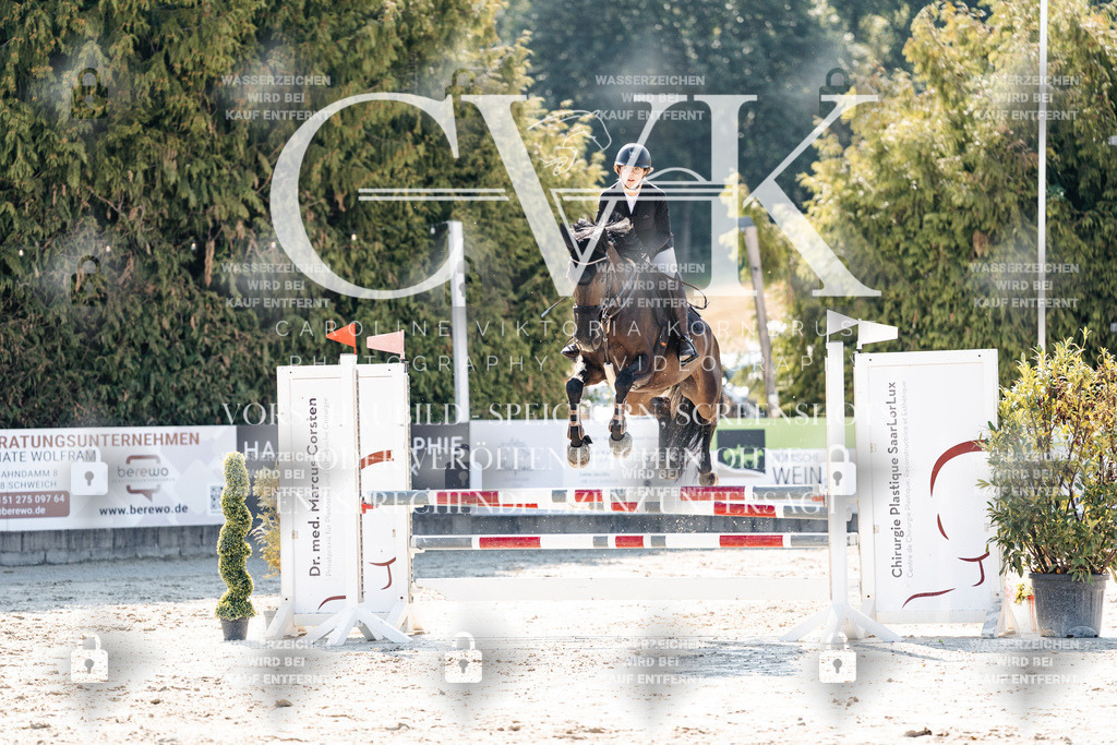 CK908014 | Turnierfotografie Pferdefotografie Trier Rheinland-Pfalz Pferdesport Reitsport Tierfotografie Sportfotografie Pferdevideo Pferdevideografie Equestrianvideography equestrianphotography  - Realisiert mit Pictrs.com