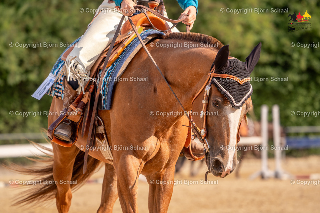 LMB02490 | BS-foto