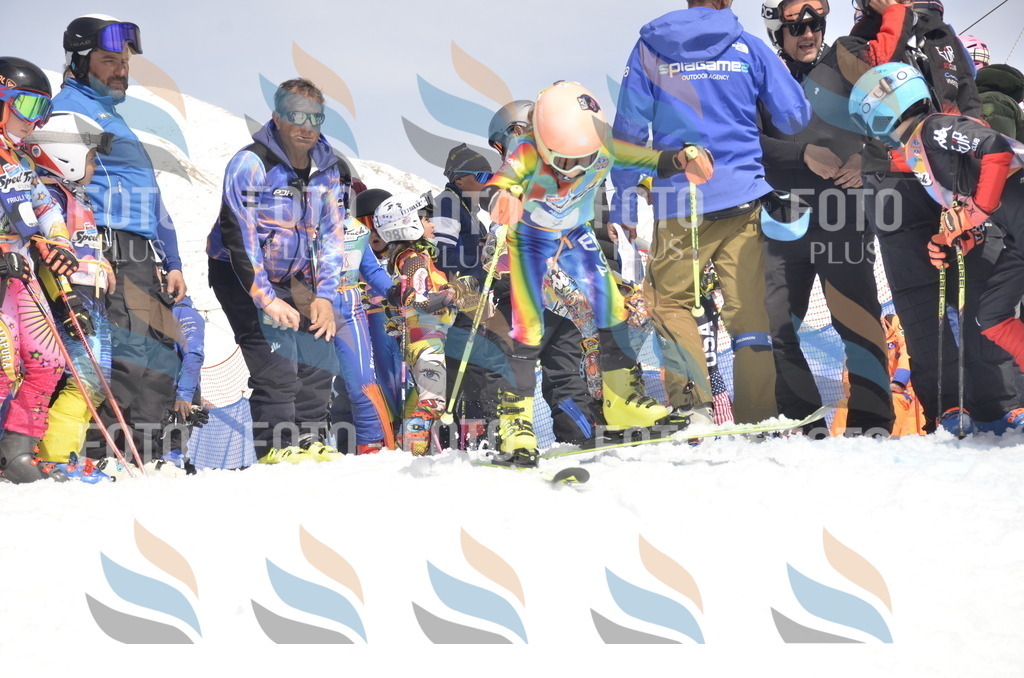 _ELE8527 | holidayphoto