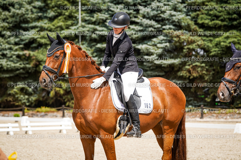 DSC01746 | Pferdegrafie