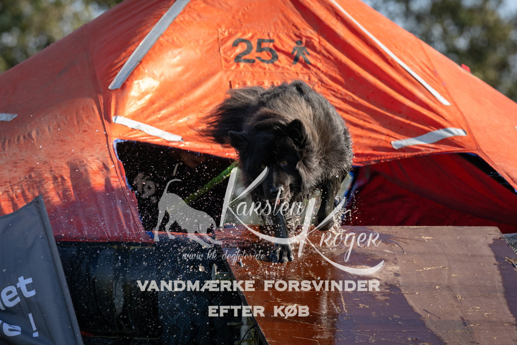 1442-94796 | kk-dogfotos