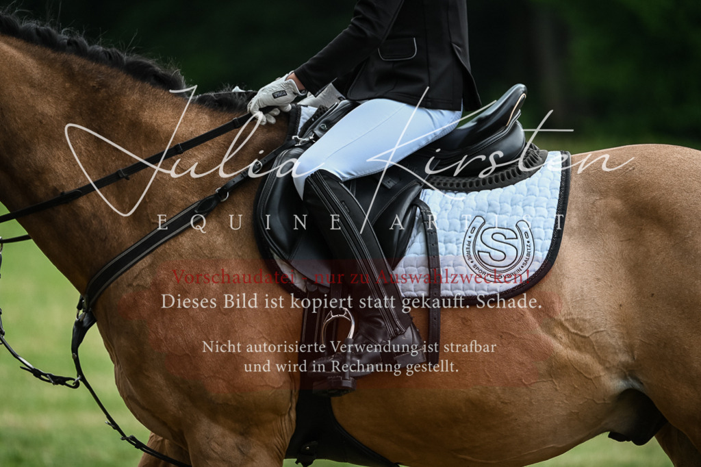 DSC_8597 | Pferde- und Turnierfotografie in Westsachsen. Pferdeportraits, Auftragszeichnungen und intuitive Kunst.