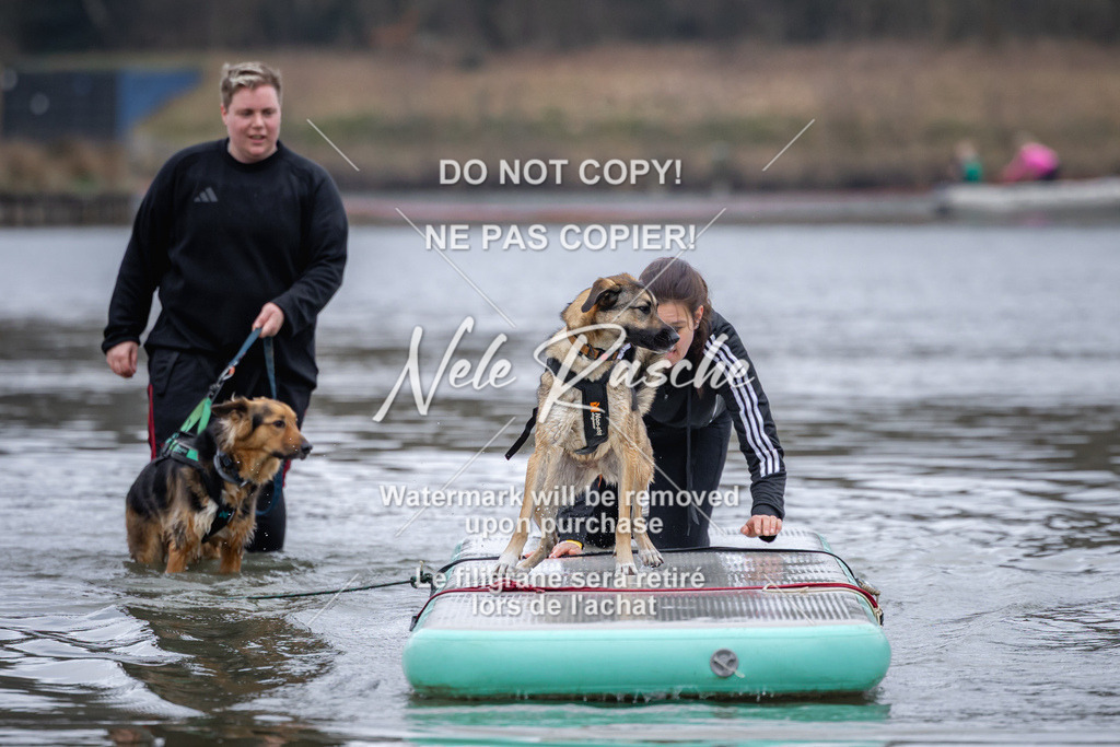 nelerasche_Hulsbeek_Sa1600-1700_368 | nelerasche