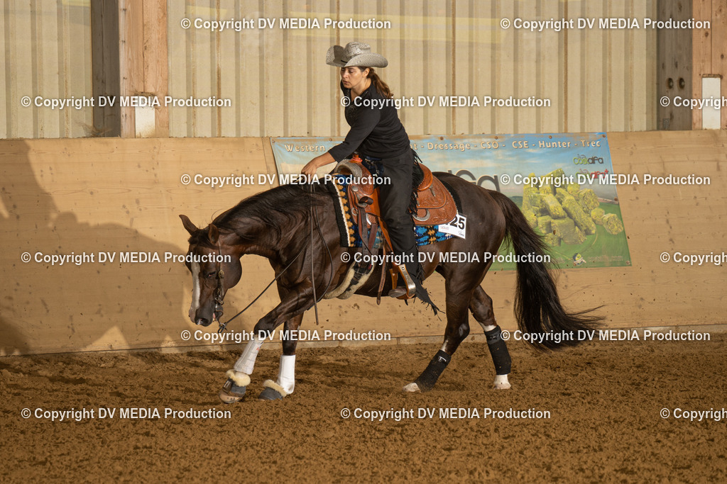 LAU00424 | dv-media-shop - Realisiert mit Pictrs.com