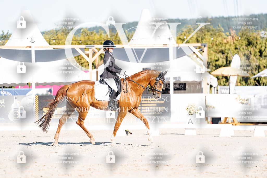 CK907150 | Turnierfotografie Pferdefotografie Trier Rheinland-Pfalz Pferdesport Reitsport Tierfotografie Sportfotografie Pferdevideo Pferdevideografie Equestrianvideography equestrianphotography  - Realisiert mit Pictrs.com